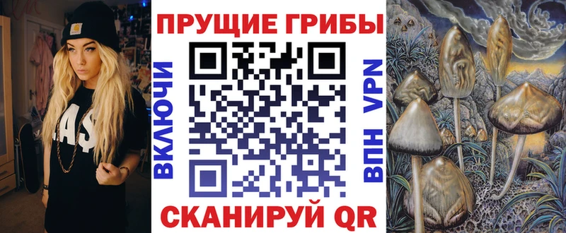 Псилоцибиновые грибы Cubensis  Фрязино 